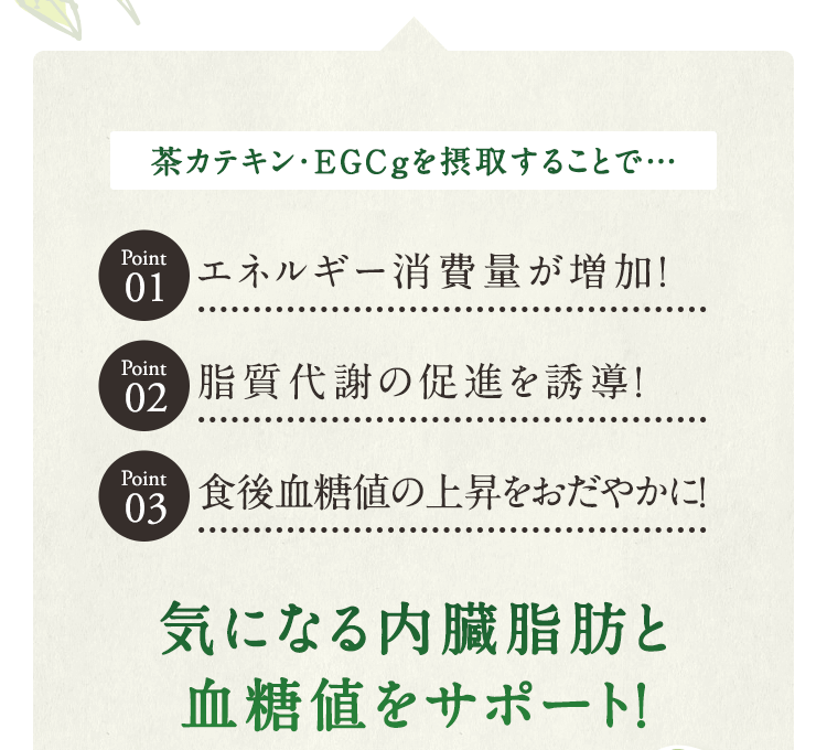 茶カテキン・EGCgを摂取することで…　エネルギー消費量が増加！/脂質代謝の促進を誘導！/食後血糖値の上昇をおだやかに！　気になる内臓脂肪と血糖値をサポート！