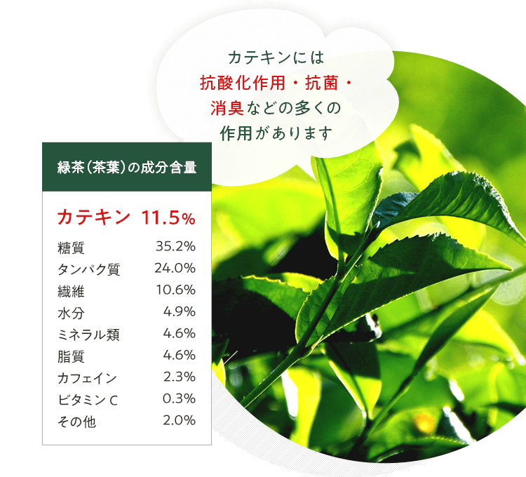 カテキンには抗酸化作用・抗菌・消臭などの多くの作用があります