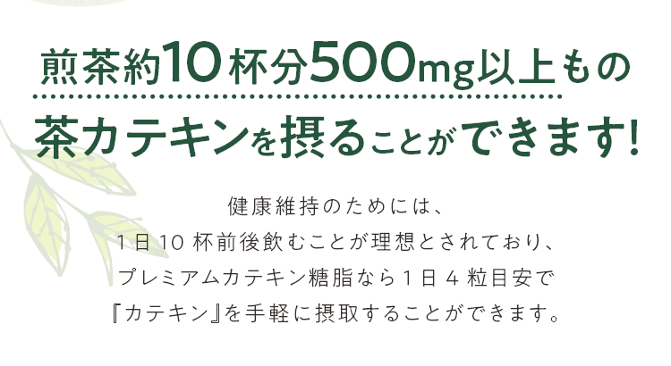 煎茶約10杯分 500mg以上もの茶カテキンを摂ることができます！