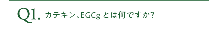 カテキン、EGCgとは何ですか？