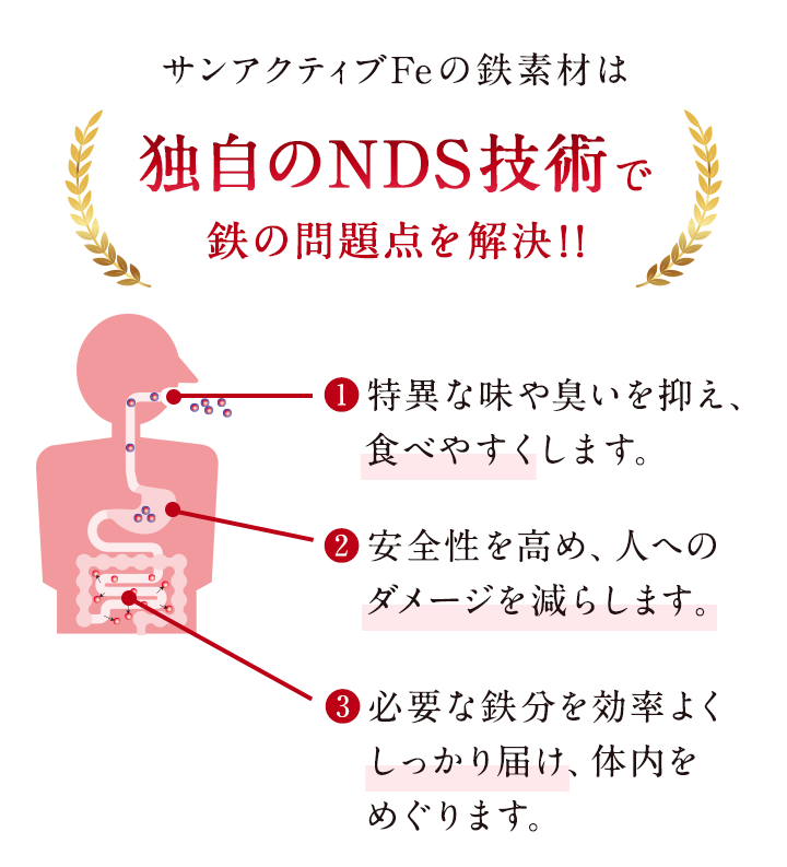 サンアクティブFeの鉄素材は独自のNDS技術で鉄の問題点を解決！！　❶特異な味や臭いを抑え、食べやすくします。 ❷安全性を高め、人へのダメージを減らします。 ❸必要な鉄分を効率よくしっかり届け、体内をめぐります