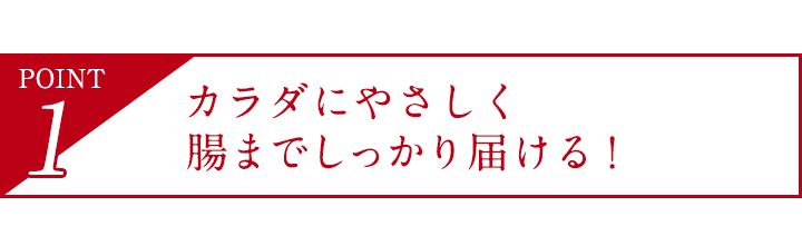 POINT1 カラダにやさしく腸までしっかり届ける！