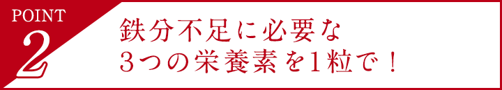 POINT2 鉄分不足に必要な３つの栄養素を１粒で！