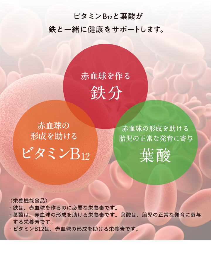 ビタミンB12と葉酸が鉄と一緒に健康をサポートします。 赤血球を作る 鉄分 赤血球の形成を助ける ビタミンB12 赤血球の形成を助ける胎児の正常な発育に寄与 葉酸 （栄養機能食品） ・鉄は、赤血球を作るのに必要な栄養素です。 ・葉酸は、赤血球の形成を助ける栄養素です。葉酸は、胎児の正常な発育に寄与する栄養素です。 ・ビタミンB12は、赤血球の形成を助ける栄養素です。