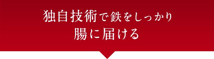 独自技術で鉄をしっかり腸に届ける