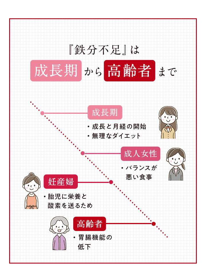 『鉄分不足』は成長期から高齢者まで 【成長期】・成長と月経の開始 ・無理なダイエット 【成人女性】・バランスが悪い食事 【妊産婦】・胎児に栄養と酸素を送るため 【高齢期】・胃腸機能の低下