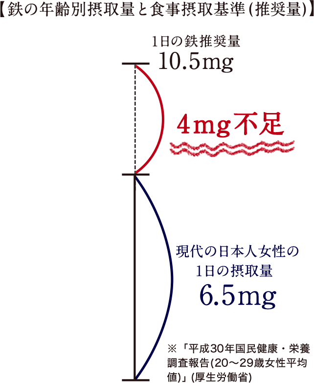 【鉄の年齢別摂取量と食事摂取基準(推奨量)】1日の鉄推奨量10.5mg 4mg不足 現代の日本人女性の1日の摂取量6.5mg ※「平成30年国民健康・栄養調査報告(20〜29歳女性平均値)」(厚生労働省)