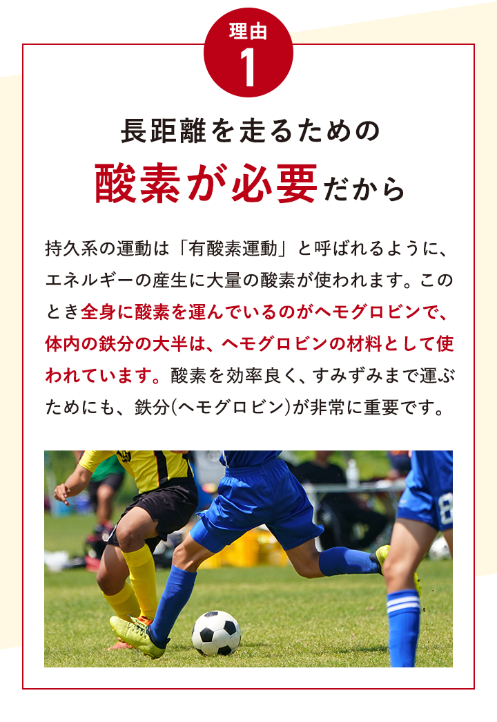 理由 1 長距離を走るための酸素が必要だから 持久走系の運動は「有酸素運動」と呼ばれるように、エネルギーの産生に大量の酸素が使われます。このとき全身に酸素を運んでいるのがヘモグロビンで、体内の鉄分の大半は、ヘモグロビンの材料として使われています。鉄分（ヘモグロビン）が多いほど、効率よく酸素を運ぶことができるため、持久力のアップ、つまりスタミナの維持につながるのです。