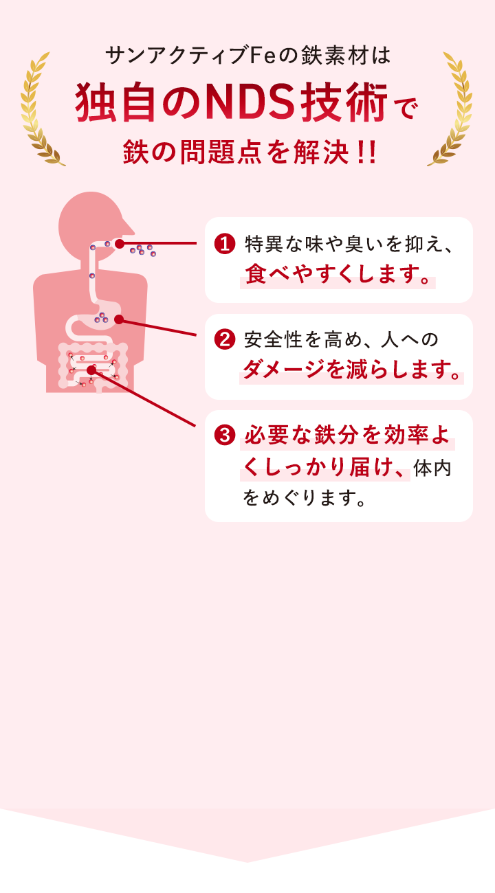 サンアクティブFeの鉄素材は 独自のNDS技術 鉄の問題点を解決！！ ❶ 特異な味や臭いを抑え、食べやすくします。 ❷ 安全性を高め、人へのダメージを減らします。 ❸ 必要な鉄分を効率よくしっかり届け、体内をめぐります。