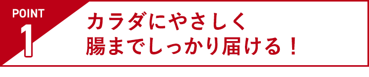 POINT 1 カラダにやさしく腸までしっかり届ける！