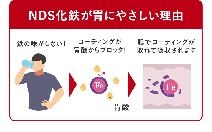 NDS化鉄が胃にやさしい理由 鉄の味がしない！ コーティングが胃酸からブロック！ 腸でコーティングが取れて吸収されます