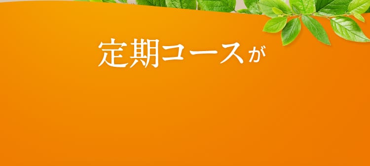 定期コースが断然お得！