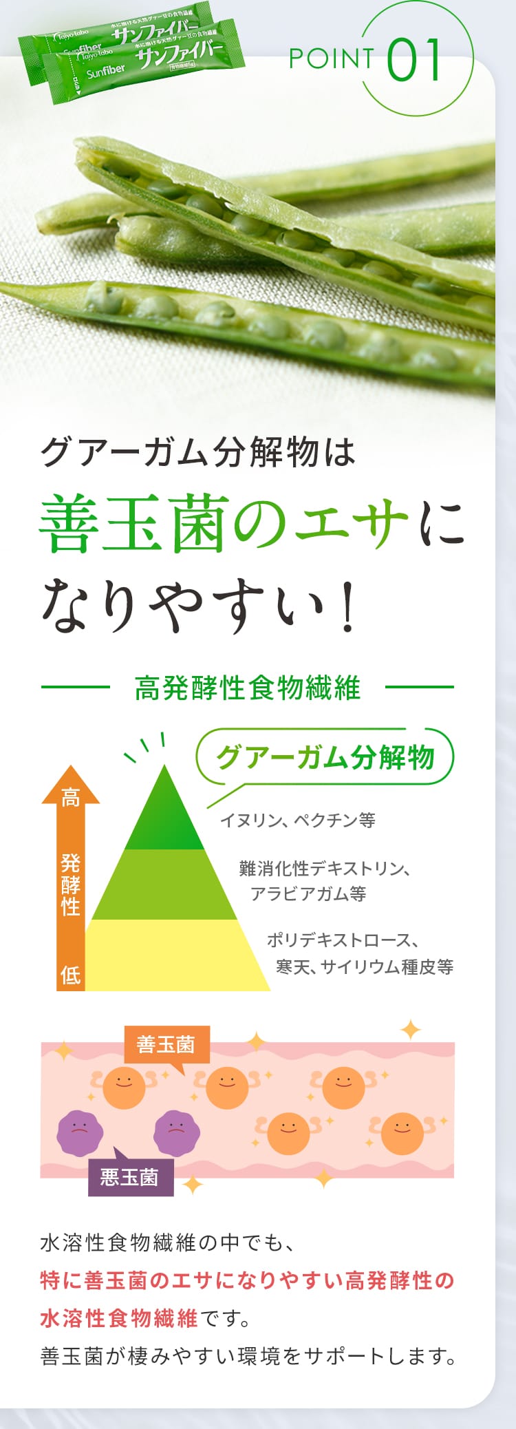 POINT01 グアーガム分解物は善玉菌のエサになりやすい！ 水溶性食物繊維の中でも、特に善玉菌のエサになりやすい高発酵性の水溶性食物繊維です。善玉菌が棲みやすい環境をサポートします。