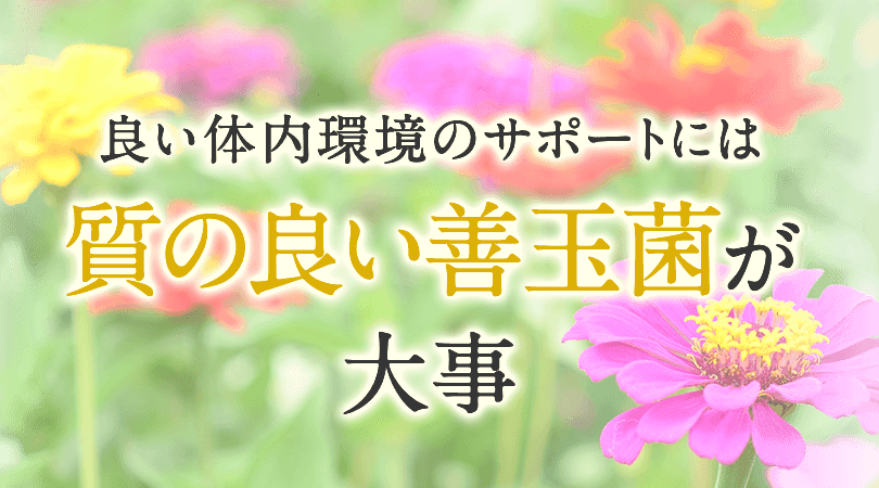 良い体内環境のサポートには質の良い善玉菌が大事