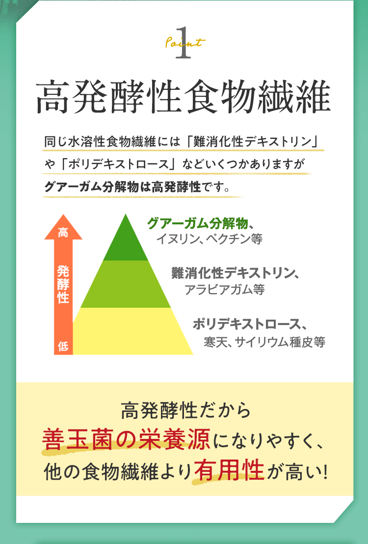 POINT1 高発酵性食物繊維