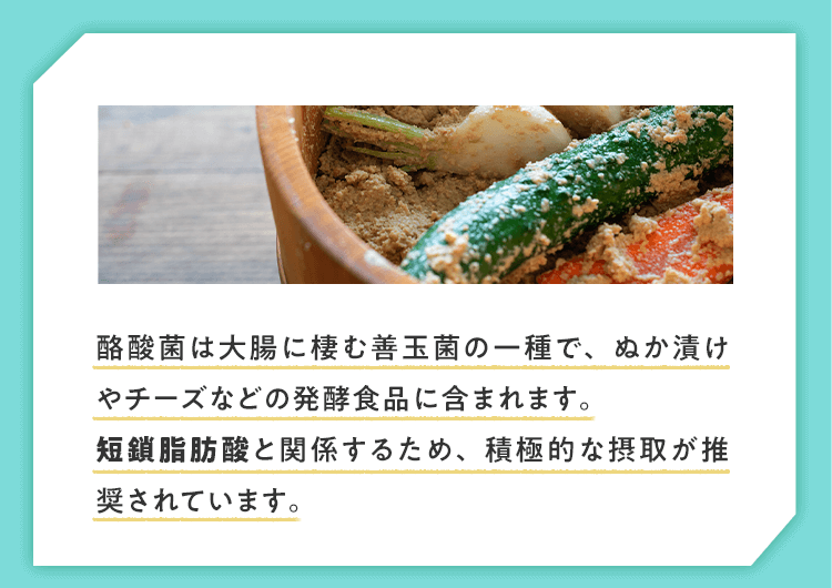 酪酸菌は大腸に棲む善玉菌の一種で、ぬか漬けやチーズなどの発酵食品に含まれます。短鎖脂肪酸と関係するため、積極的な摂取が推奨されています。