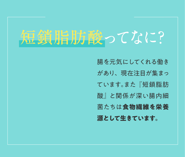 短鎖脂肪酸ってなに？