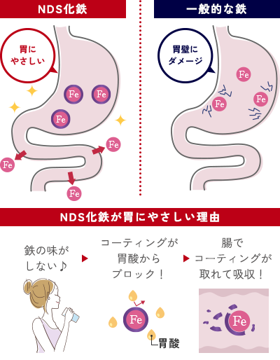 NDS化鉄:胃にやさしい 一般的な鉄:胃腸にダメージ NDS化鉄が胃にやさしい理由:鉄の味がしない♪→コーティングが胃酸からブロック!→腸でコーティングが取れて吸収!