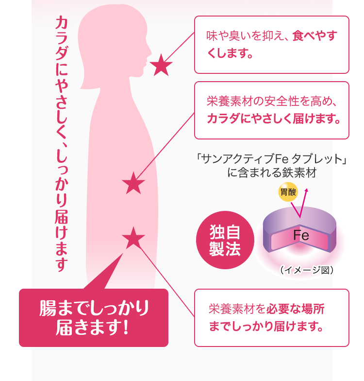 人の吸収の絵・・