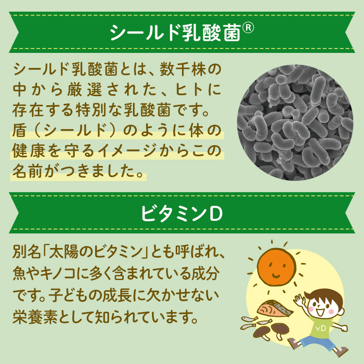 シールド乳酸菌とビタミンD