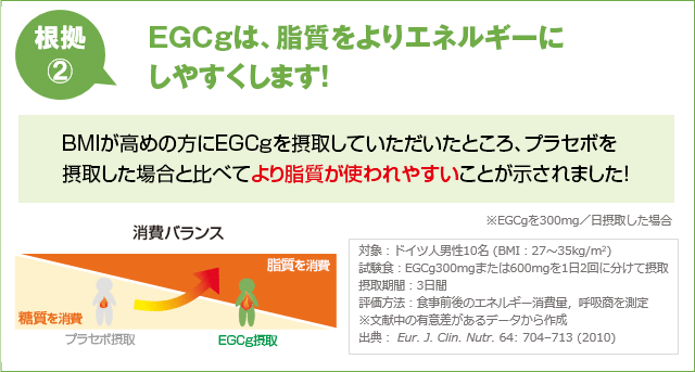 EGCgは脂質をよりエネルギーにしやすくします