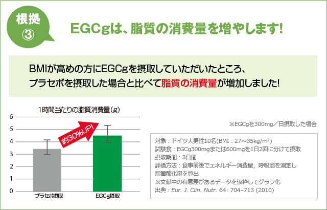 EGCgは脂質の消費量を増やします